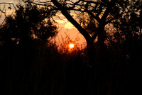Park Kruger (lever du Soleil 5H) - AFS