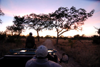 Réserve Kapama (coucher du soleil) AFS