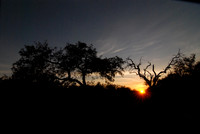 Réserve Kapama 2 (coucher du soleil) AFS