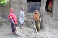 India - Manwar road - Farmers