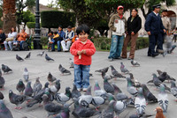 Peru - Girl with birds