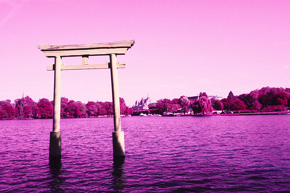 Infrared_film_Only_IR_light_002