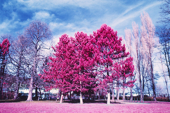 Infrared_film_Visible_and_IR_lights_016