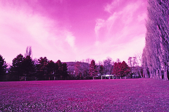 Infrared_film_Only_IR_light_015