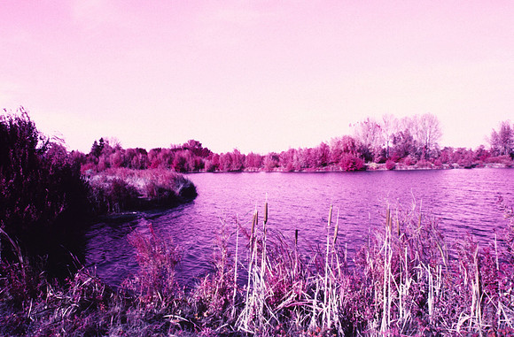 Infrared_film_Only_IR_light_007