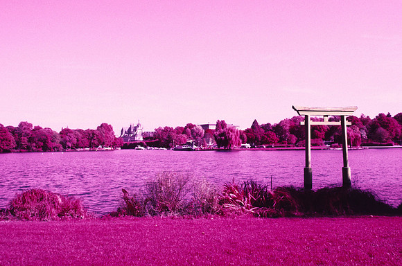 Infrared_film_Only_IR_light_001