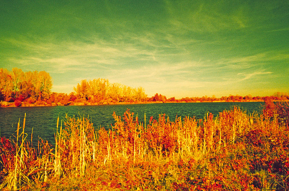 Infrared_film_mixed_up_colors_003