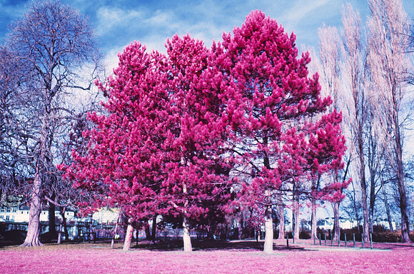 Infrared_film_Visible_and_IR_lights_017