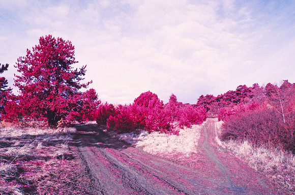 Infrared_film_Visible_and_IR_lights_014