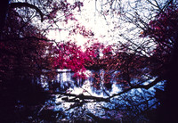 Infrared_film_Visible_and_IR_lights_013