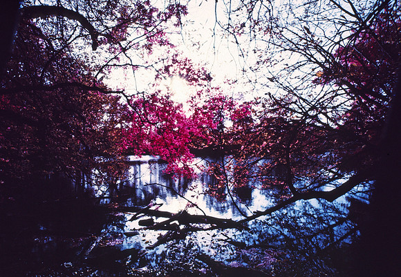 Infrared_film_Visible_and_IR_lights_013