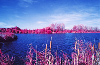Infrared_film_Visible_and_IR_lights_007
