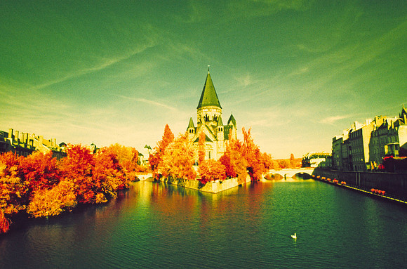Infrared_film_mixed_up_colors_002