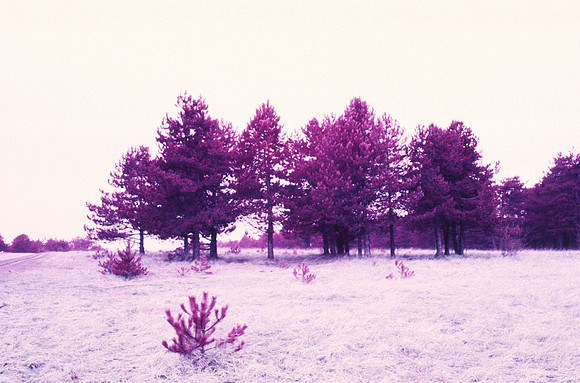 Infrared_film_Only_IR_light_012