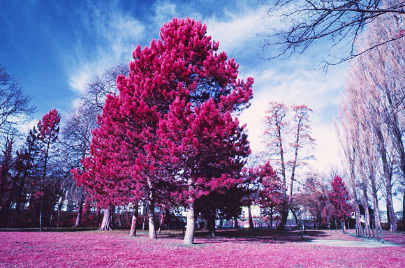 Infrared_film_Visible_and_IR_lights_015