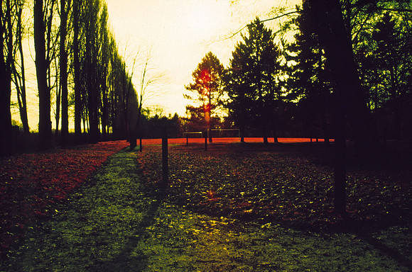 Infrared_film_mixed_up_colors_013