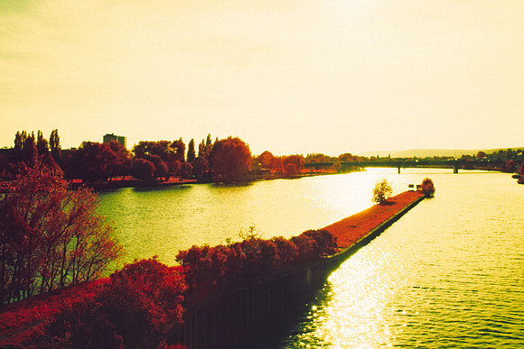 Infrared_film_mixed_up_colors_004