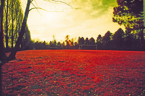 Infrared_film_mixed_up_colors_014