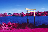 Infrared_film_Visible_and_IR_lights_003