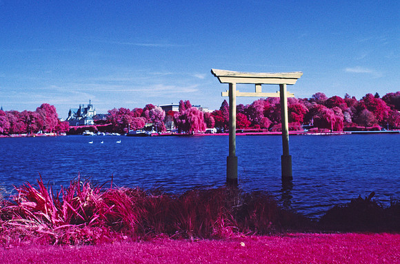 Infrared_film_Visible_and_IR_lights_003
