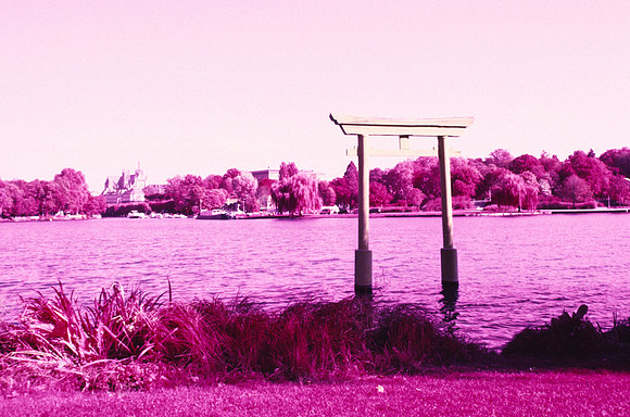 Infrared_film_Only_IR_light_003