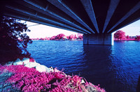 Infrared_film_Visible_and_IR_lights_010