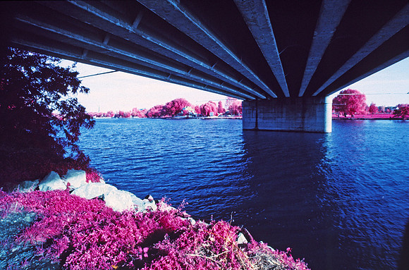 Infrared_film_Visible_and_IR_lights_010