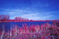 Infrared_film_Visible_and_IR_lights_009