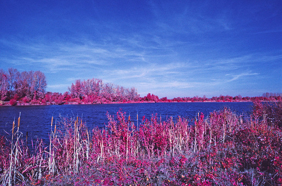 Infrared_film_Visible_and_IR_lights_009