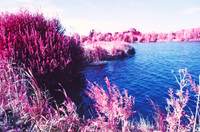 Infrared_film_Visible_and_IR_lights_008
