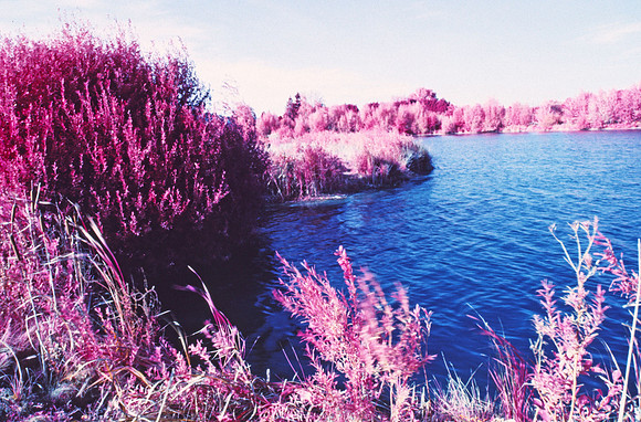 Infrared_film_Visible_and_IR_lights_008