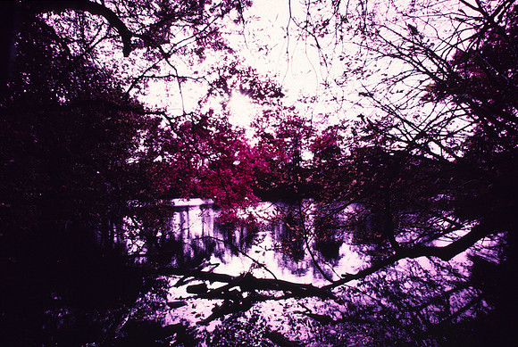 Infrared_film_Only_IR_light_010
