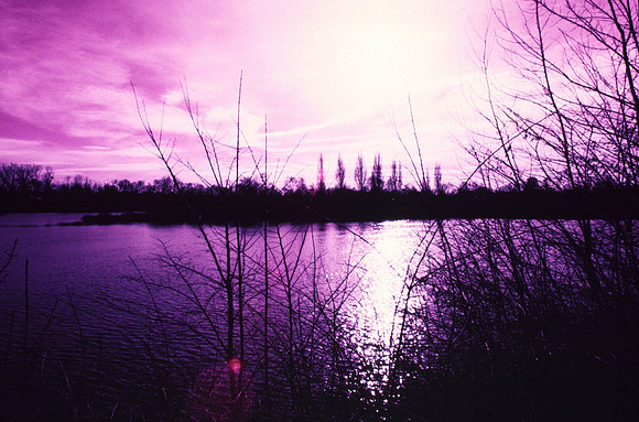 Infrared_film_Only_IR_light_016