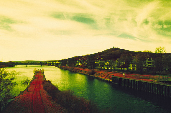 Infrared_film_mixed_up_colors_011