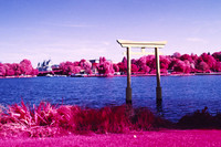 Infrared_film_Visible_and_IR_lights_001