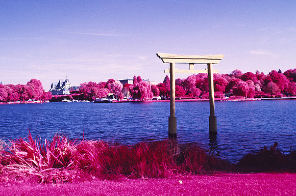 Infrared_film_Visible_and_IR_lights_001