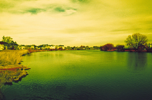 Infrared_film_mixed_up_colors_012
