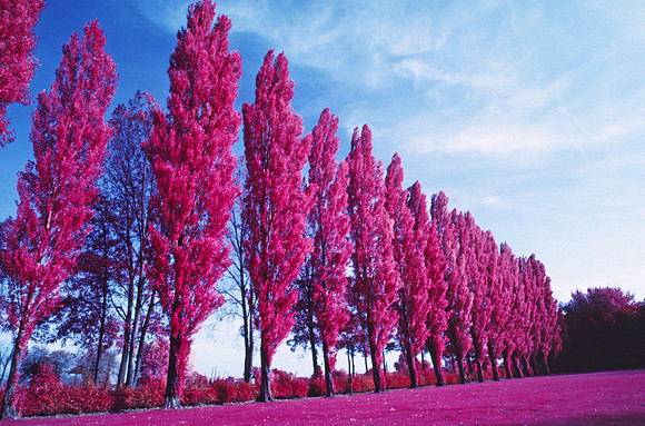 Infrared_film_Visible_and_IR_lights_011