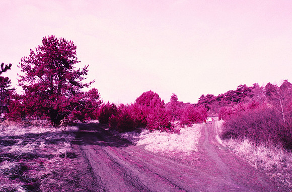 Infrared_film_Only_IR_light_011