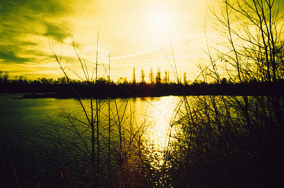 Infrared_film_mixed_up_colors_016