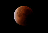 Eclipse Totale Lune (28/09/2015)