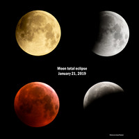 Eclipse Totale Lune (21/01/2019)